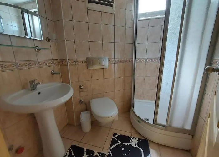 Summer Rose Σιντέ