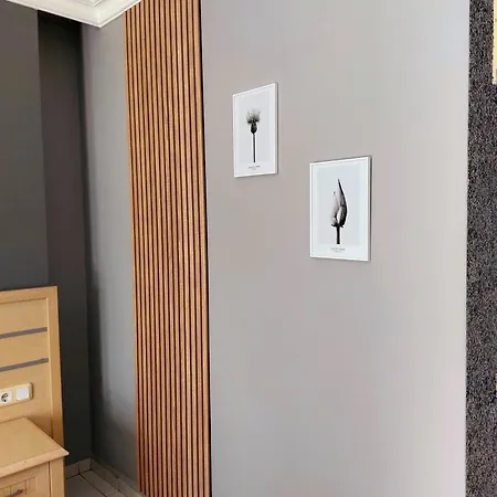 酒店 Summer Rose 3*