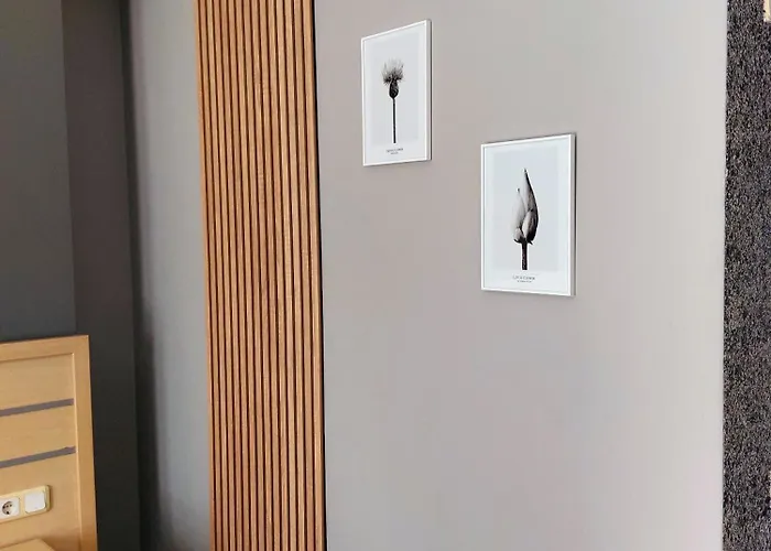 Hotel Summer Rose 3*